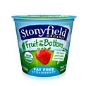 stonyfield-organic-fruit