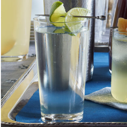 Royal Gin and Tonic Recipe