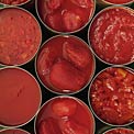 tomatoe-cans
