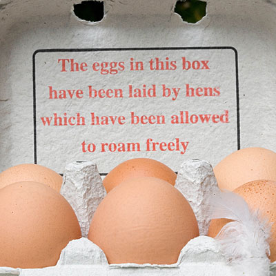 free-range-eggs