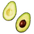 avocados