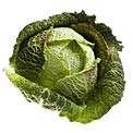 cabbage
