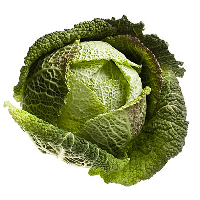 cabbage