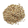 grains