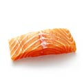 salmon-fish