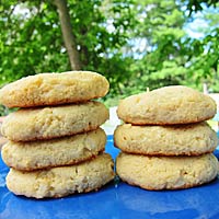 coconut-protein-cookies