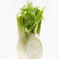 fennel-for-colds