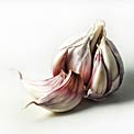 garlic-for-colds