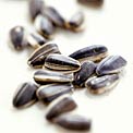 sunflower-seeds-help-colds