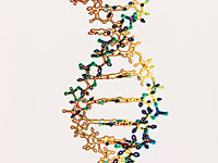 genetics-effects-ms