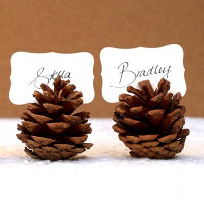 Favorite Pins of the Week: Fun Thanksgiving Ideas pine cone placecards 400x400 Favorite Pins of the Week: Fun Thanksgiving Ideas