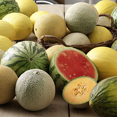wash-produce
