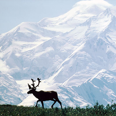 healthiest-states-alaska