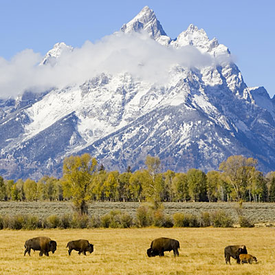 healthiest-states-wyoming