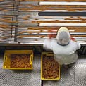 assembly line