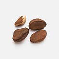 best-food-for-selenium-brazil-nuts