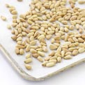 best-food-for-thiamin-pine-nuts