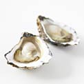 best-food-for-zinc-oysters