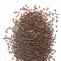 flaxseed