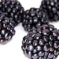 heart-blackberries