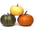 pumpkins