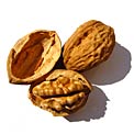 spring-food-walnuts