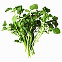 watercress
