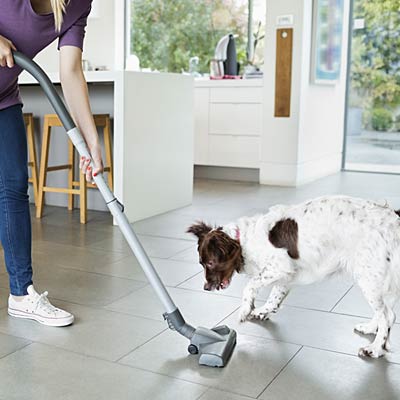 dog-pet-vacuum