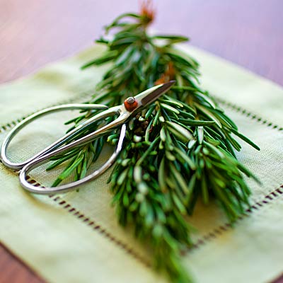 http://img2.timeinc.net/health/img/web/2013/05/slides/herb-rosemary-400x400.jpg