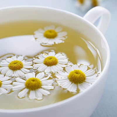 chamomile-tea