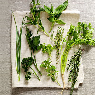 herbs-great-food