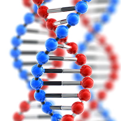 sex-dna