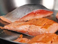 salmon