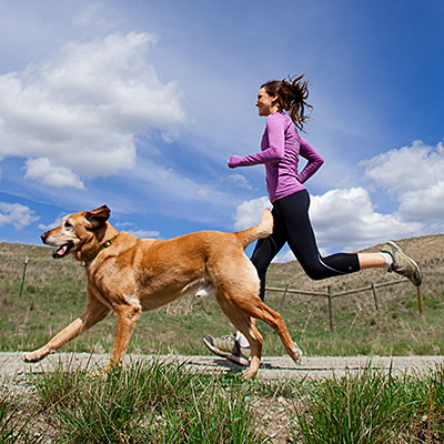 dog training partner