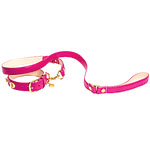 Leather Logo Rivet leash and collar with brass hardware, Coach.