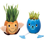 Glazed ceramic rye-grass-seed Egg Pet plant in bear, Noted.