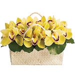 Green orchids in 9" long woven tote bag, Jane Carroll.
