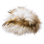 Raccoon fur hat, Cassin.