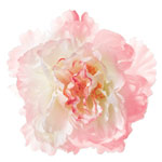 Silk Flower Pins