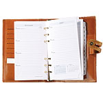 Croc-embossed Planner, Abas.