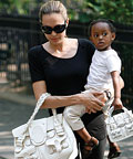 Celebrity It Bags
