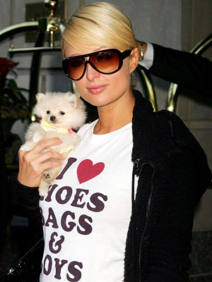 Paris Hilton and Kimchi, Best of 2007