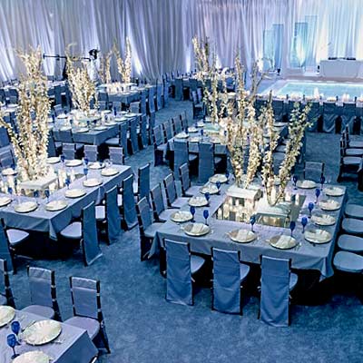 wedding reception blue
