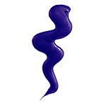 Shimmer Lights shampoo, Clairol.