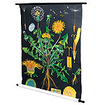 Botanical canvas scroll, Anthropologie.