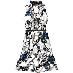 Cynthis Steffe Dress from instyle.com