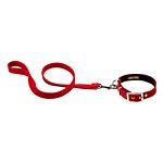 Cotton-velvet dog collar and leash, Love My Dog.