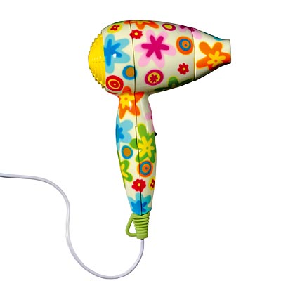 Fashion Books Teen Girls on Pb Teen Hair Dryer For Teen Girls Holiday 2007 Fashion Instyle