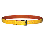 Lizard belt, LAI.