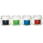 Soy-based wax candle in Black Cassis, Herbes Avec Lagniappe, Midnight Garden and Wild Bloomers, Bessence.